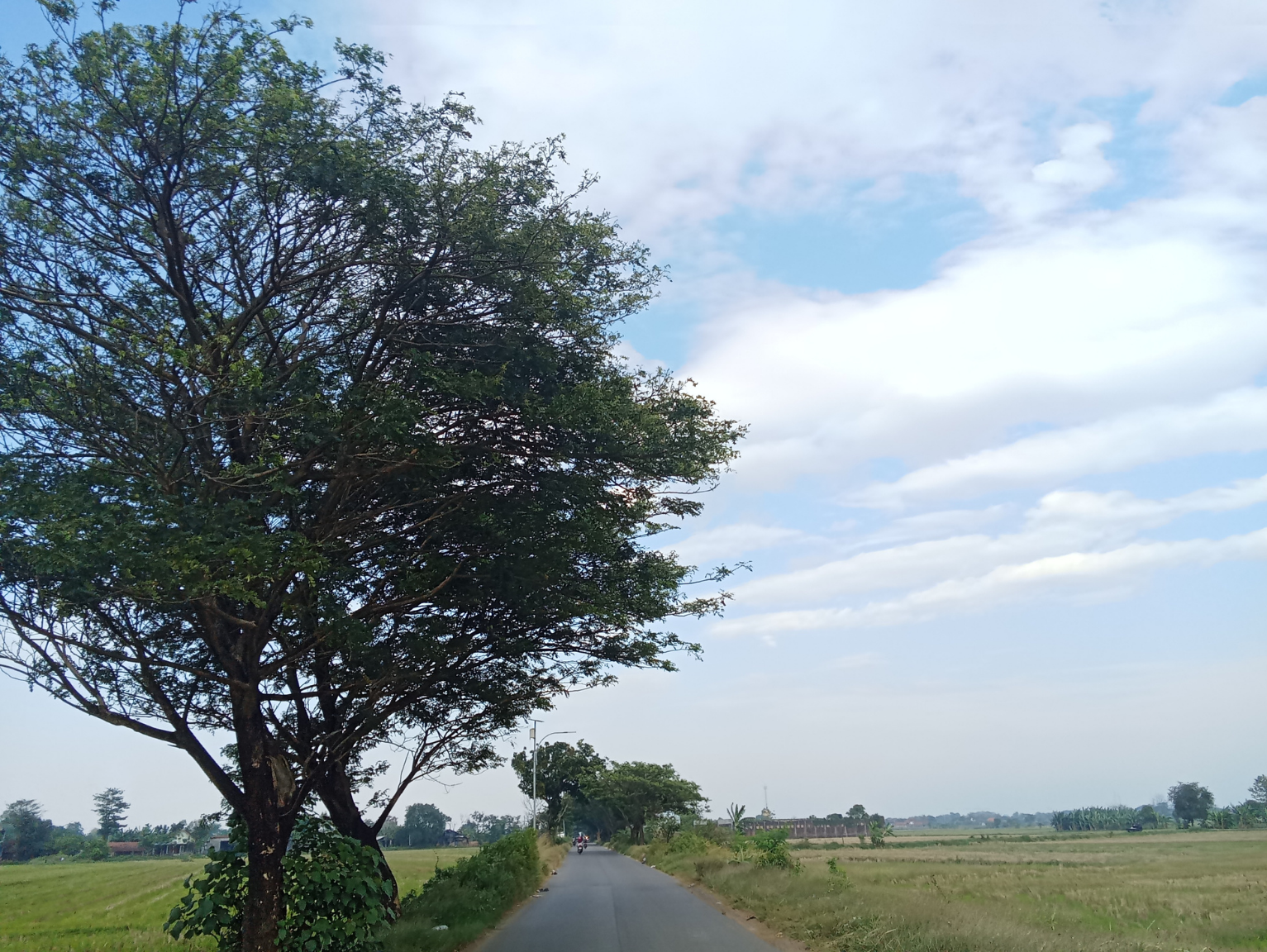 御嵩町の産業を活性化するWebサイト