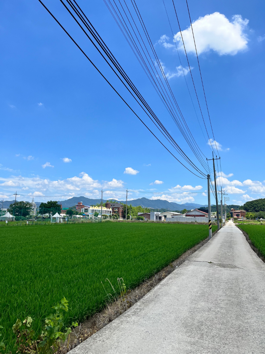 白川町の街並みとホームページ制作の親和性